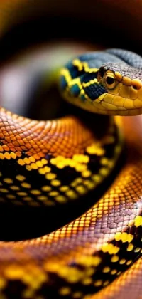snake Live Wallpaper