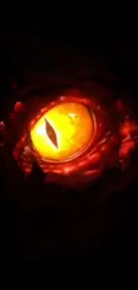 Eye Street Light Automotive Lighting Live Wallpaper