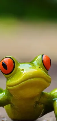 Eye Vertebrate Frog Live Wallpaper