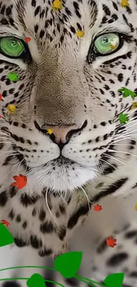 This phone live wallpaper showcases a gorgeous leopard with mesmerizing green eyes