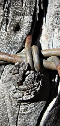 This live phone wallpaper showcases a captivating close-up of a barbed wire fence on a wooden backdrop