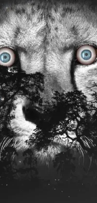 Eyebrow Eye Felidae Live Wallpaper