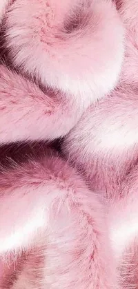Eyelash Felidae Pink Live Wallpaper