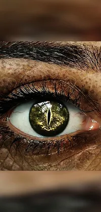 This phone live wallpaper features a detailed, photo-realistic close-up of a reptilian eye