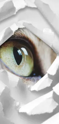 Looking for a unique and impressive live wallpaper for your phone? Check out this dramatic option featuring a close-up of a cat's eye behind a piece of paper