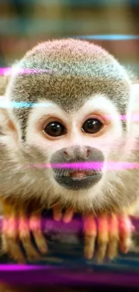 Face Head Primate Live Wallpaper