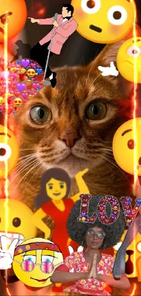 Facial Expression Cat Light Live Wallpaper