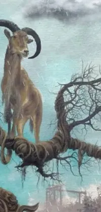 Fawn Goat-antelope Terrestrial Animal Live Wallpaper