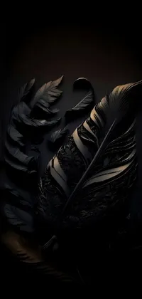 Feather Flash Photography Automotive Lighting Live Wallpaper