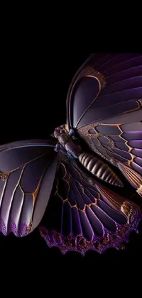 Feather Wing Art Live Wallpaper