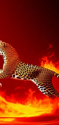 Get ready to enhance the look of your phone with this fiery and dynamic cheetah running live wallpaper