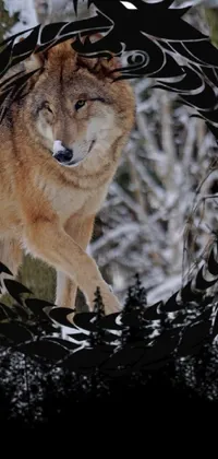 Get lost in the intense beauty of the Wolf Live Wallpaper