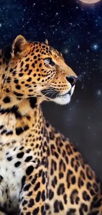 Felidae Carnivore African Leopard Live Wallpaper