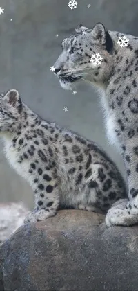 Felidae Carnivore Leopard Live Wallpaper