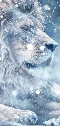 This phone live wallpaper depicts a lion in a snowy landscape