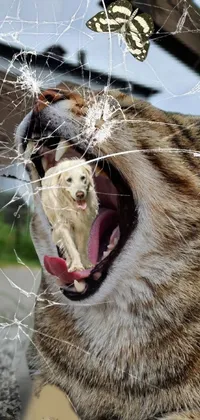 Felidae Carnivore Roar Live Wallpaper