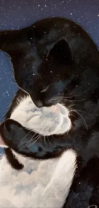 This stunning live wallpaper for phones features an original artwork of two cats hugging under a breathtaking and starry night sky
