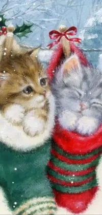 Eyelash Cat Christmas Ornament Live Wallpaper - download