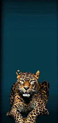 Felidae Jaguar African Leopard Live Wallpaper