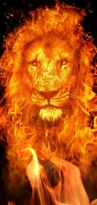 Intensify your phone's background screen with the captivating Fire Lion Live Wallpaper! This dynamic digital art features a striking close-up of a majestic lion made of flames against a dark black background