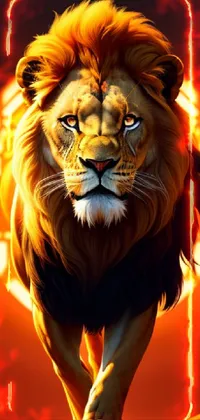 lion king  Live Wallpaper