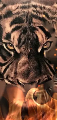 Felidae Siberian Tiger Carnivore Live Wallpaper