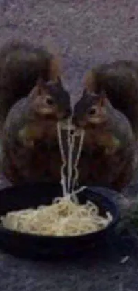 Looking for a unique and charming live wallpaper for your phone? Look no further than this delightful scene of two squirrels happily eating spaghetti out of a bowl! This charming image captures the essence of a "gentlemen's dinner" and features a delicious plate of pasta that looks good enough to eat