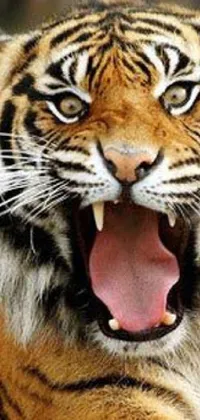 Bring the ferocity of the jungle to your phone's screen with this awe-inspiring live wallpaper