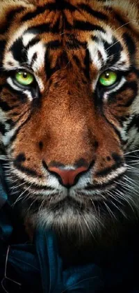 This phone live wallpaper features a striking close-up of a tiger's face with green eyes, rendered in high definition digital art