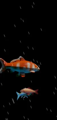 Fin Fish Liquid Live Wallpaper