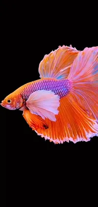 This live phone wallpaper features a stunning digital rendering of a fish viewed in close up
