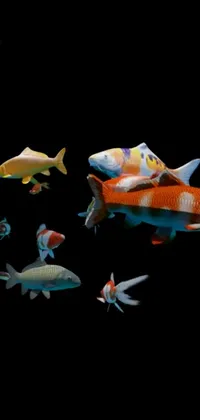 Fin Toy Fish Live Wallpaper