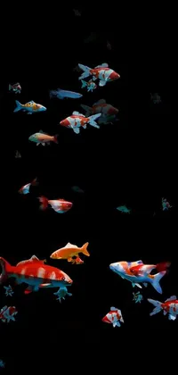 Fin Water Fish Live Wallpaper