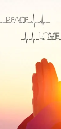 This phone live wallpaper features a serene and tranquil scene of a man praying against a stunning sunset