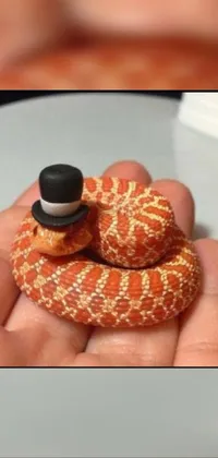 This Phone Live Wallpaper features a close-up of a small snake with striking orange belly and textured scales