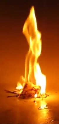 Fire Bonfire Flame Live Wallpaper
