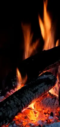 Fire Campfire Flame Live Wallpaper
