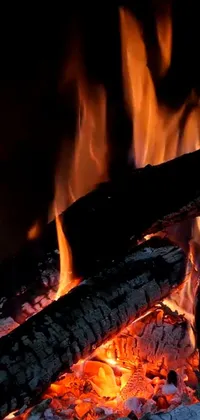 Fire Charcoal Heat Live Wallpaper