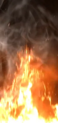 Fire Flame Amber Live Wallpaper