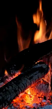 Fire Flame Campfire Live Wallpaper