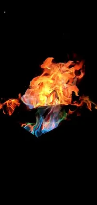 This live wallpaper for your phone features a digital rendering of a beautiful fire set against a black background