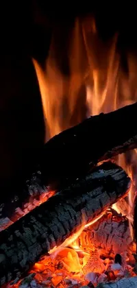 Bring the cozy warmth of a fireplace to your phone with this stunning live wallpaper