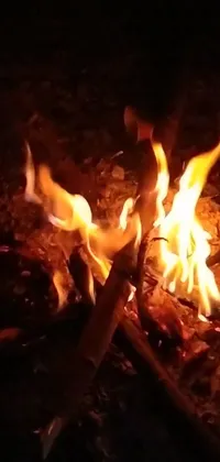 The phone live wallpaper depicts a mesmerizing close-up of a flickering fire in the darkness