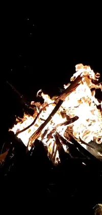 This live wallpaper for phones depicts a fiery blaze burning in a dark evening forest