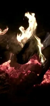 This phone live wallpaper is a stunning image of a relentlessly burning fire, with flames reaching high into the sky
