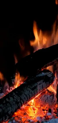 Looking for a cozy and high-quality live wallpaper for your phone? Look no further than this beautiful depiction of a fire in a fireplace or an outdoor campfire pit