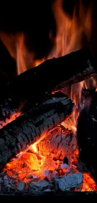 Fire Flame Heat Live Wallpaper
