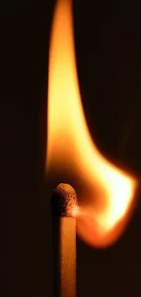 Looking for a captivating live wallpaper for your phone? Check out this stunning Matchstick Live Wallpaper! The image features a close-up shot of a burning matchstick, captured in beautiful detail