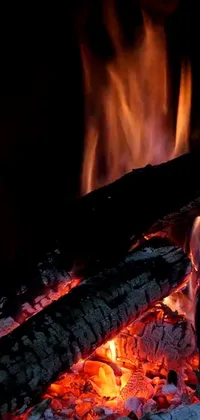 This phone live wallpaper showcases a stunning close-up of a blazing fire in either a fireplace or a campfire pit
