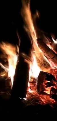 This phone live wallpaper displays a realistic outdoor campfire pit, perfect for camping enthusiasts